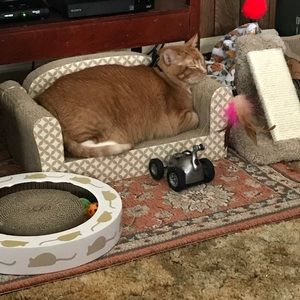 Meet your Posher, Bonnie